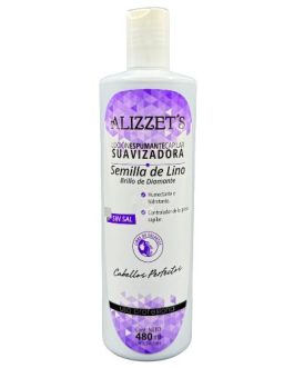 Shampoo 480ml Semilla de lino Alizzet’s